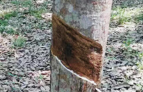 点击浏览下一页
